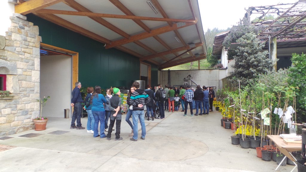 Visita bodegas txakoli Gatika (2)